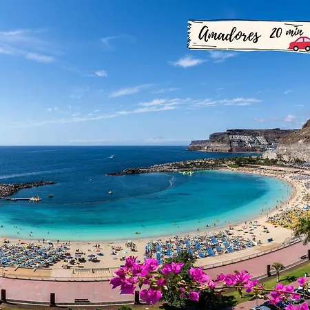 Tanife 301 By Villagrancanaria